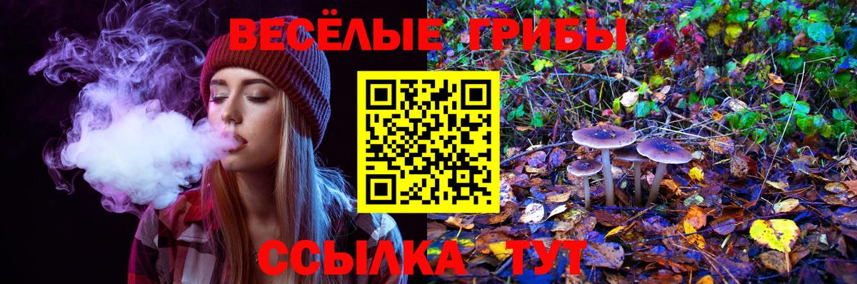 Галлюциногенные грибы Magic Shrooms Благовещенск