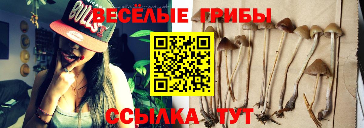 Благовещенск  Псилоцибиновые грибы прущие грибы  Вход с VPN 